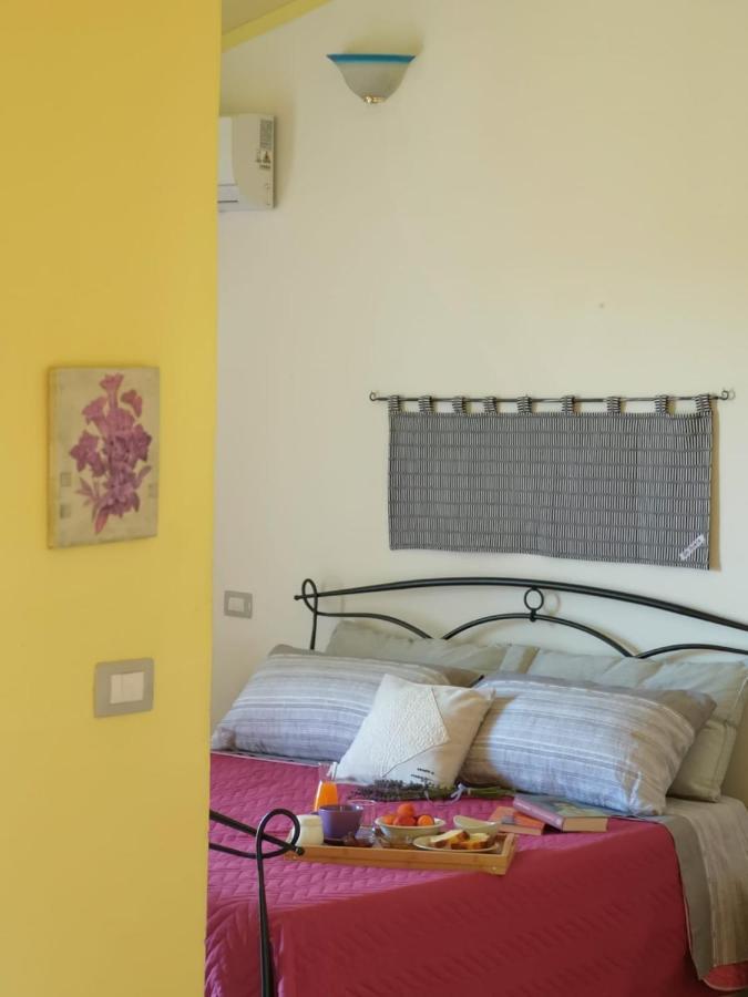 Agriturismo Sa Murta In Sennariolo-Oristano Dış mekan fotoğraf