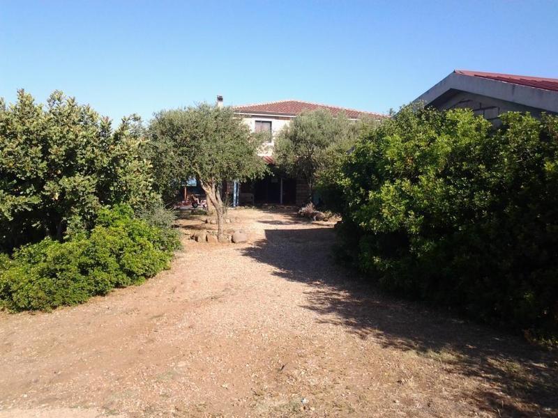 Agriturismo Sa Murta In Sennariolo-Oristano Dış mekan fotoğraf