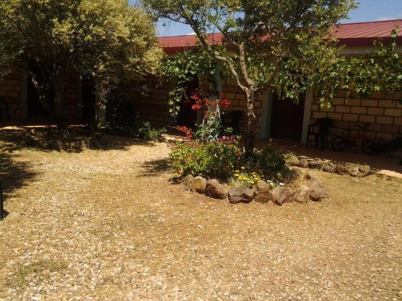 Agriturismo Sa Murta In Sennariolo-Oristano Dış mekan fotoğraf