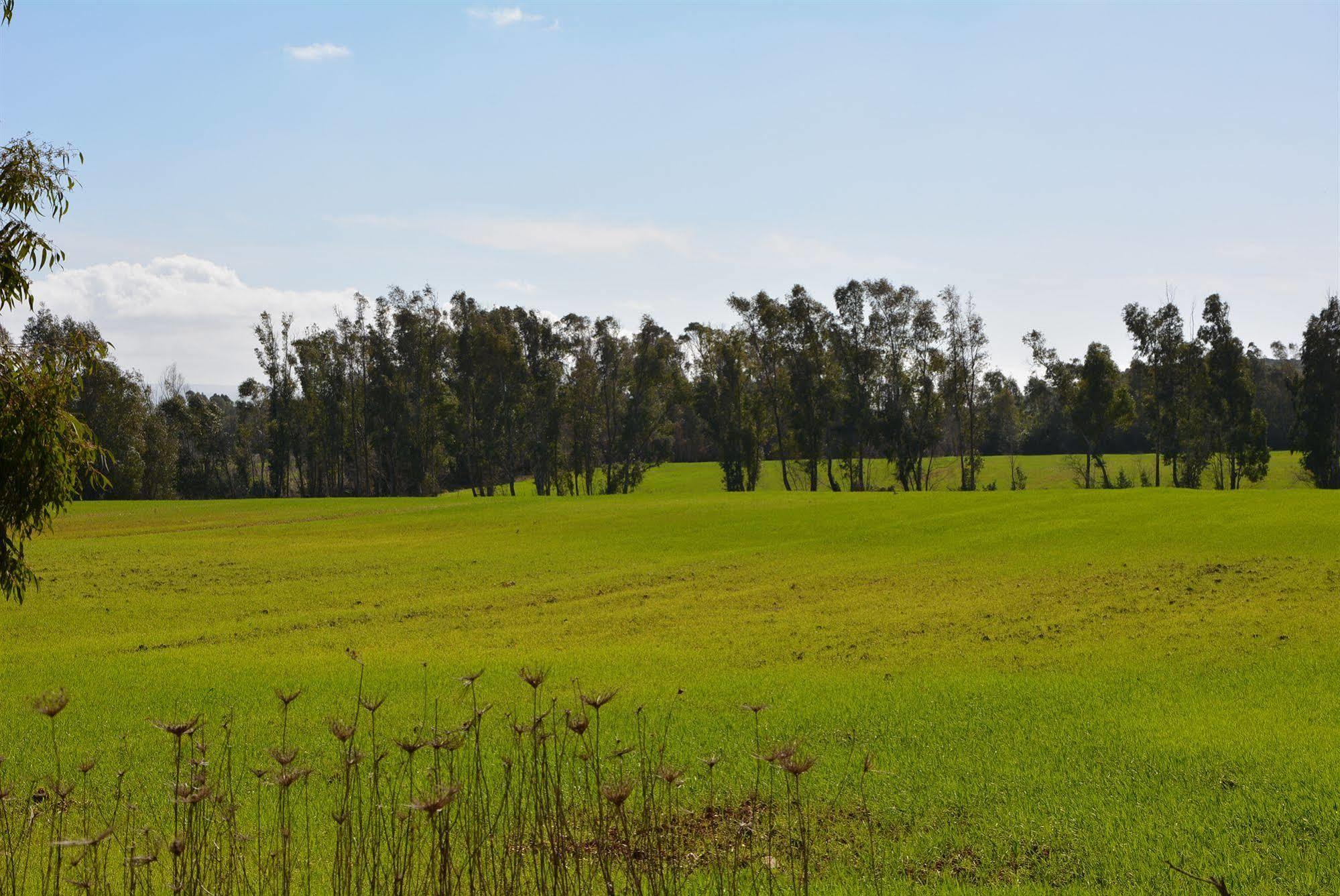 Agriturismo Sa Murta In Sennariolo-Oristano Dış mekan fotoğraf