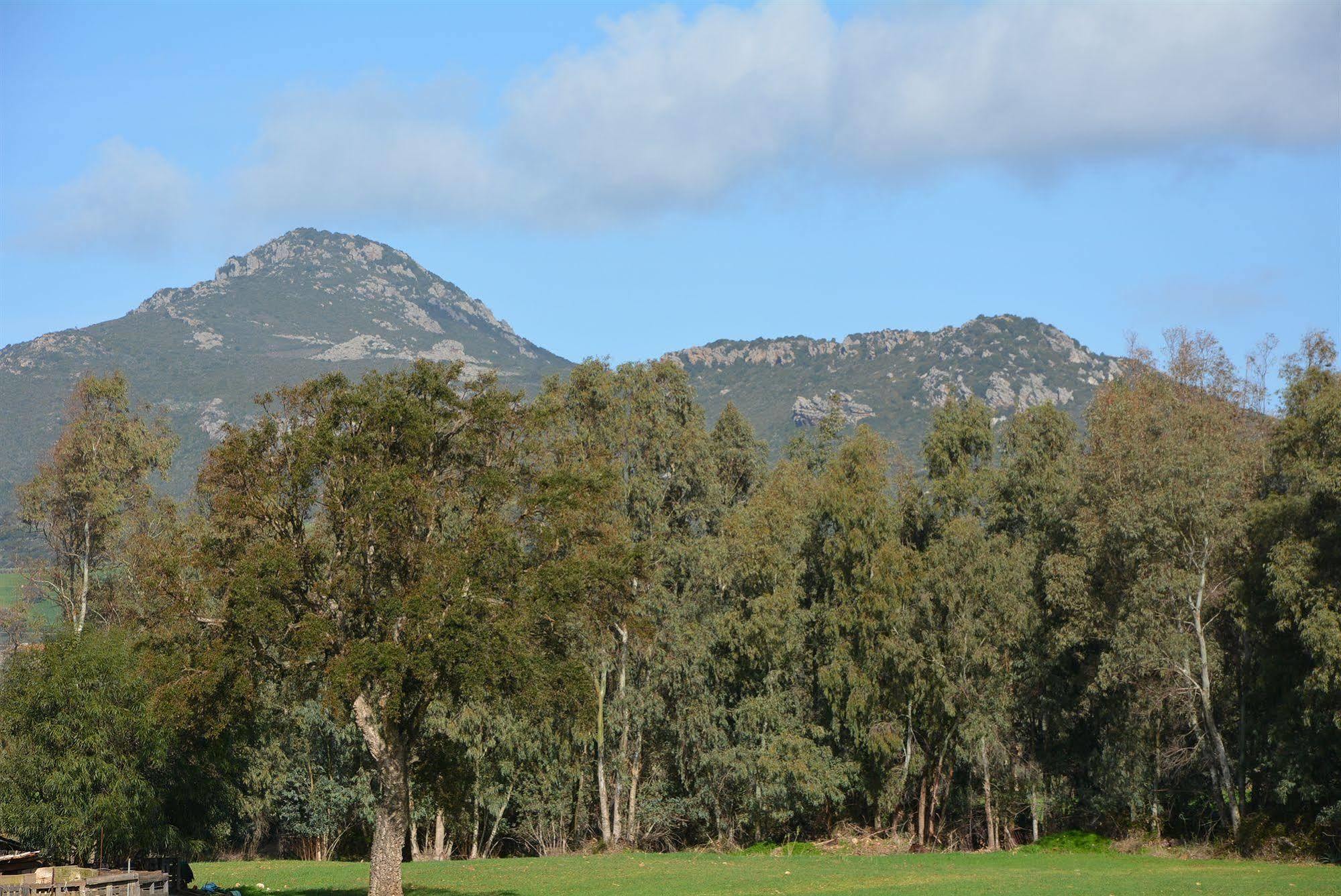 Agriturismo Sa Murta In Sennariolo-Oristano Dış mekan fotoğraf