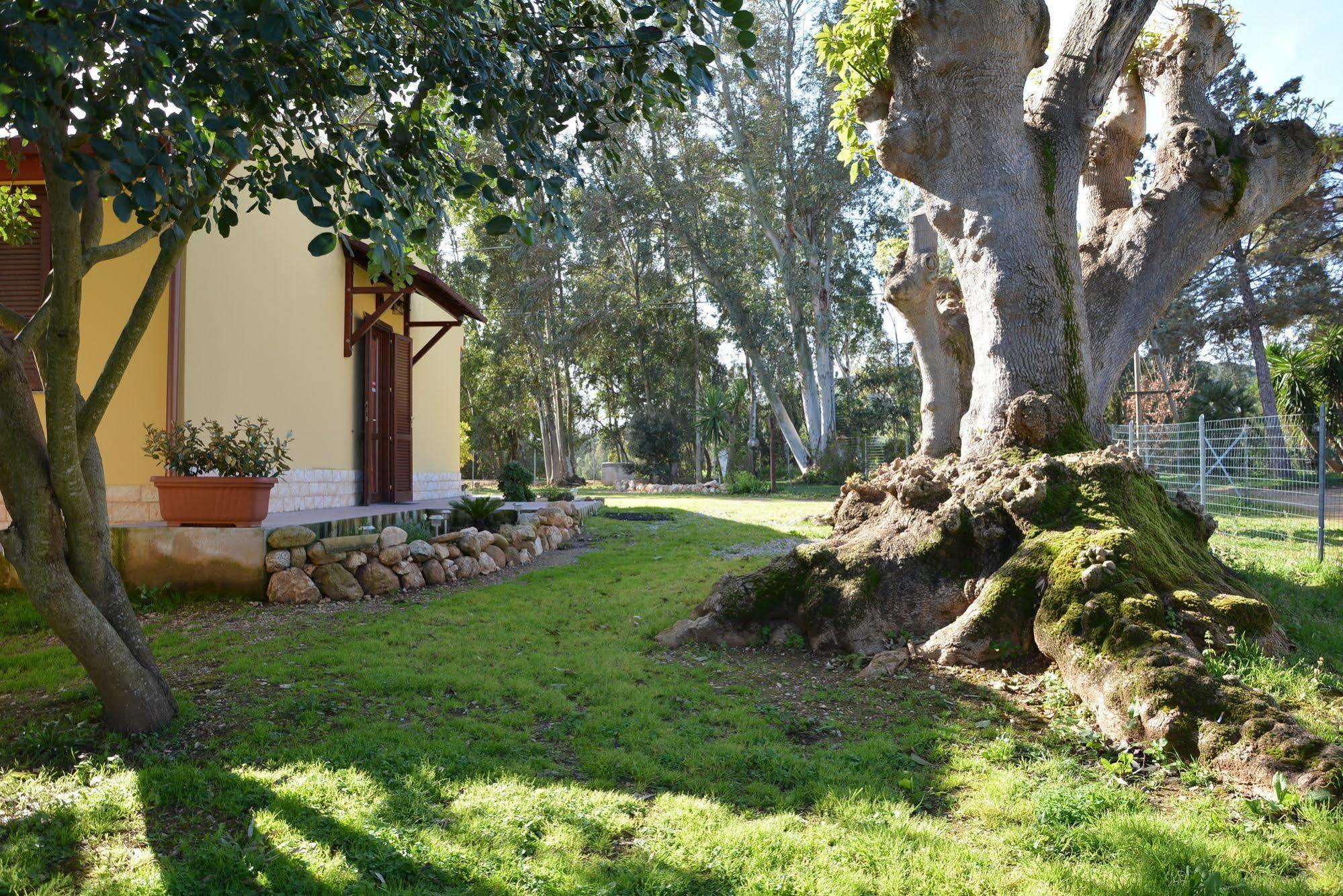 Agriturismo Sa Murta In Sennariolo-Oristano Dış mekan fotoğraf