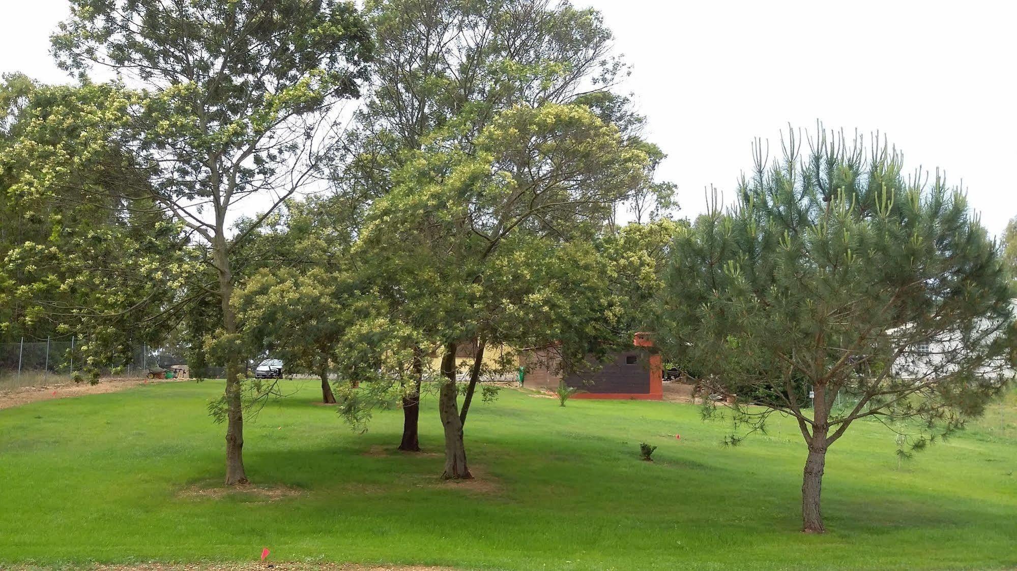 Agriturismo Sa Murta In Sennariolo-Oristano Dış mekan fotoğraf