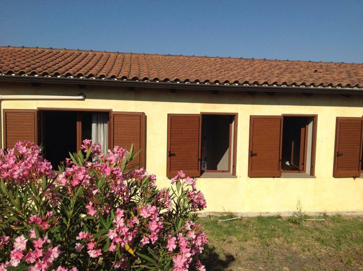 Agriturismo Sa Murta In Sennariolo-Oristano Dış mekan fotoğraf