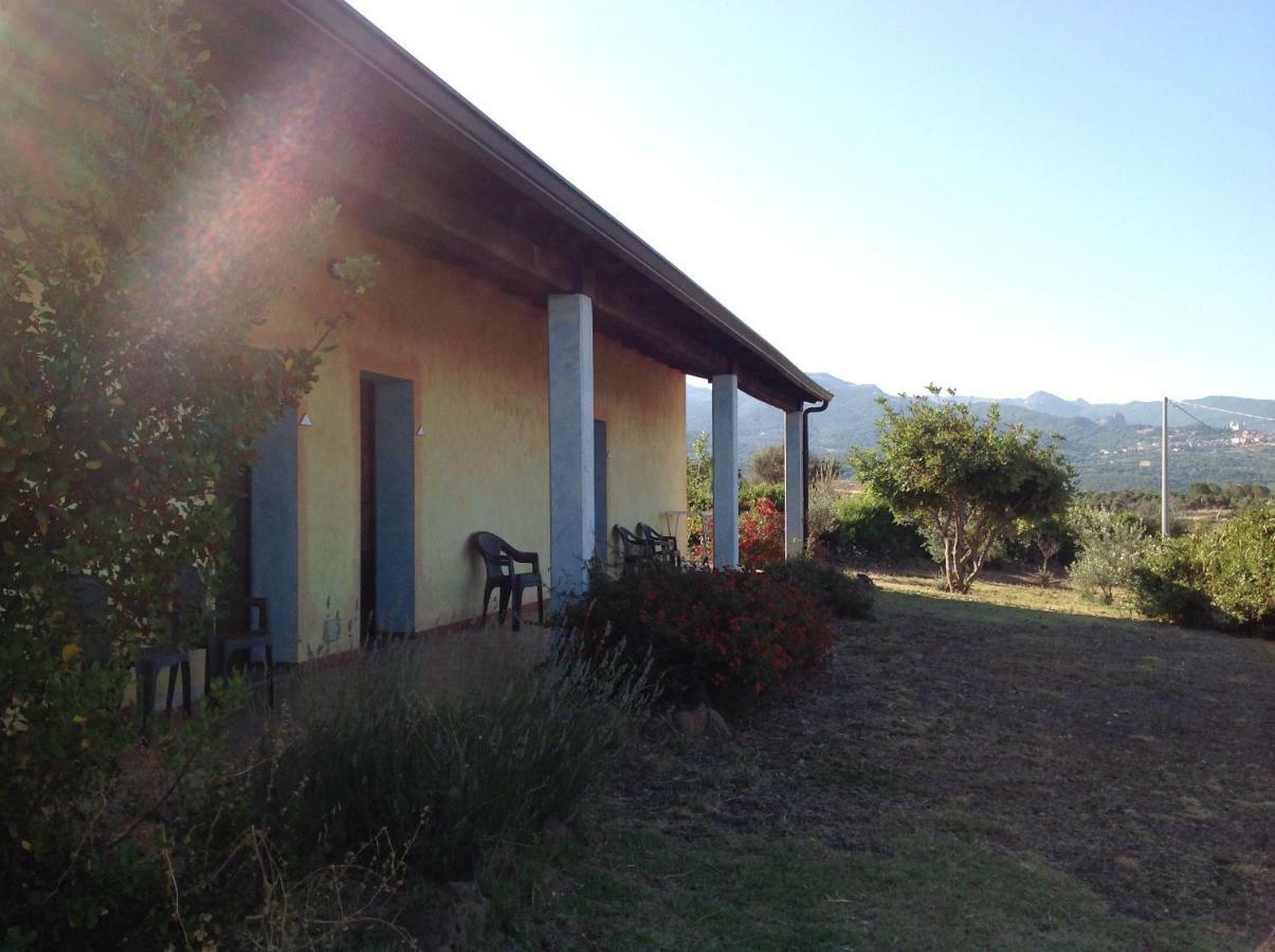 Agriturismo Sa Murta In Sennariolo-Oristano Dış mekan fotoğraf